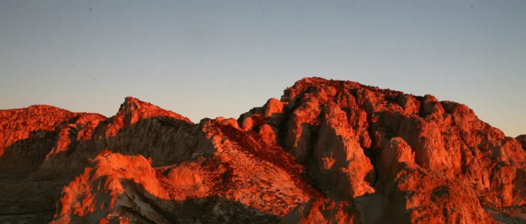 1703210844188255.jpg 1703210844188255.jpg